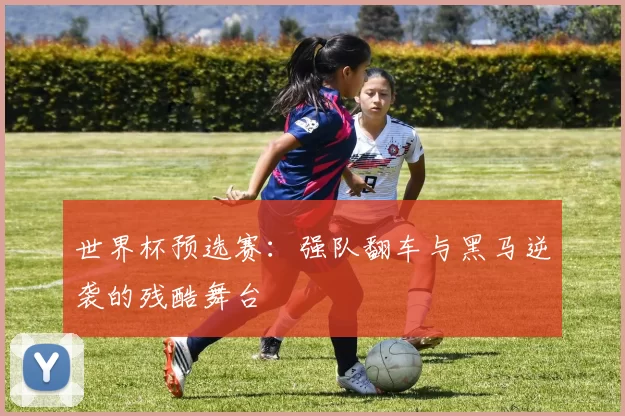 世界杯预选赛:强队翻车与黑马逆袭的残酷舞台