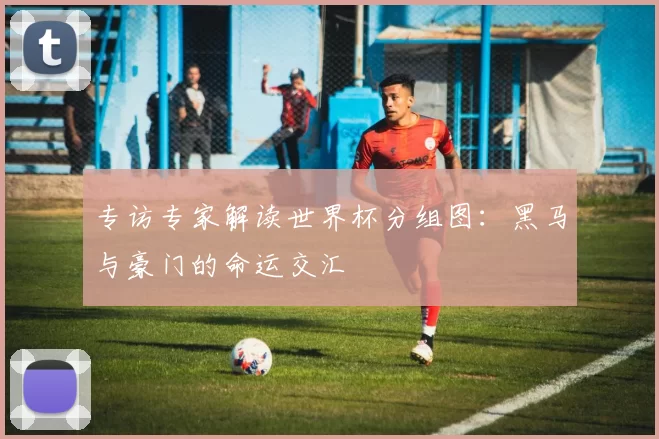 专访专家解读世界杯分组图:黑马与豪门的命运交汇