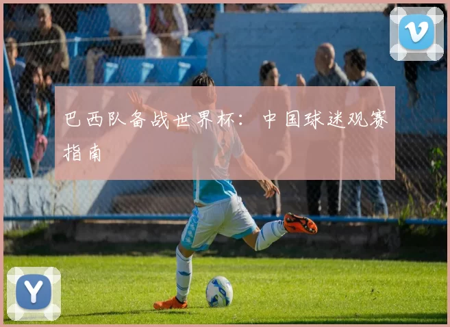 巴西队备战世界杯：中国球迷观赛指南
