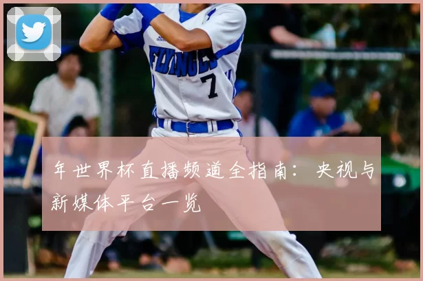 年世界杯直播频道全指南:央视与新媒体平台一览