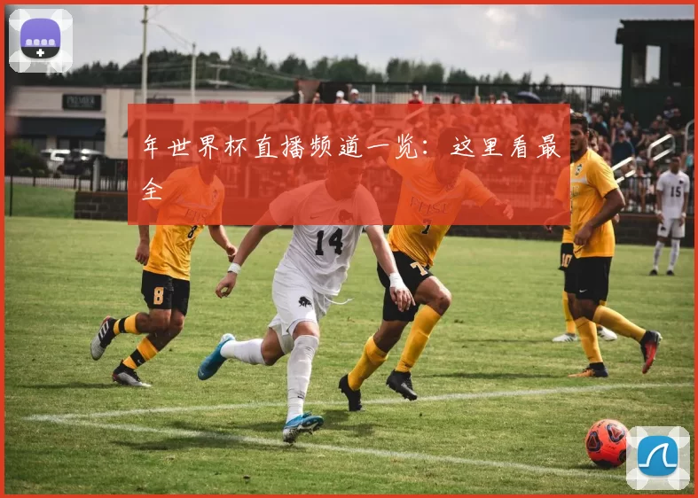 年世界杯直播频道一览:这里看最全