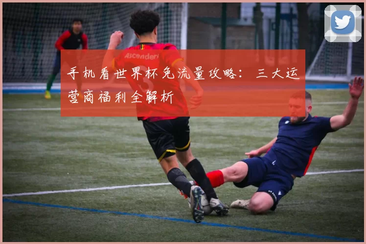 手机看世界杯免流量攻略:三大运营商福利全解析
