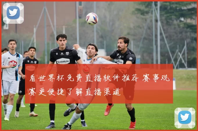 看世界杯免费直播软件推荐 赛事观赛更便捷了解直播渠道