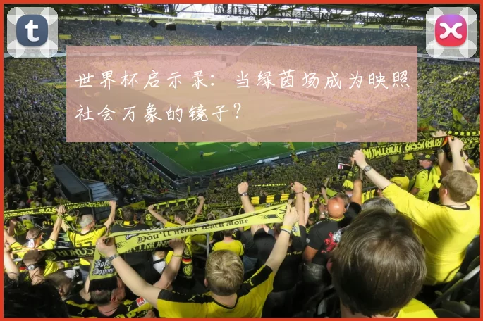 世界杯启示录:当绿茵场成为映照社会万象的镜子?