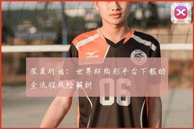 深度对话：世界杯购彩平台下载的全流程风险解析