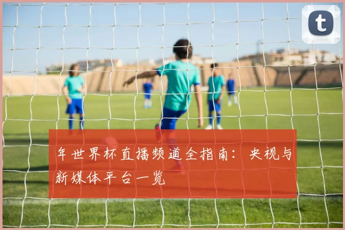 年世界杯直播频道全指南：央视与新媒体平台一览