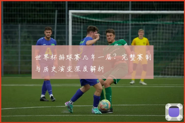世界杯排球赛几年一届?完整赛制与历史演变深度解析